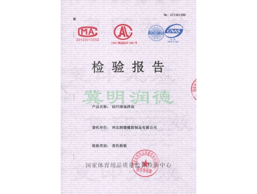 檢驗報告 檢驗報告